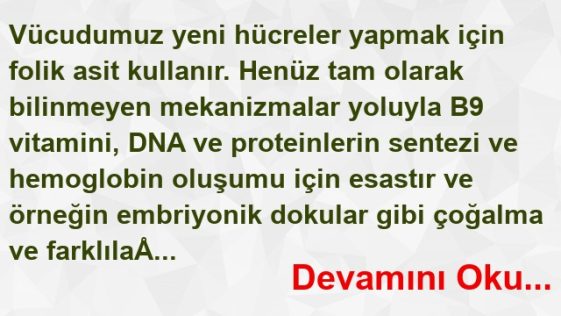 Folik Asit’in (Folat) Faydaları Nelerdir?